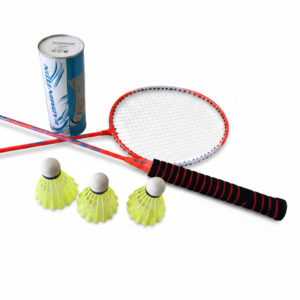 مضربان تنس ريشة